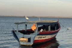 Lake Victoria 3