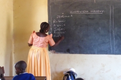 Nyanza Primary School 83