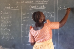 Swahili lesson